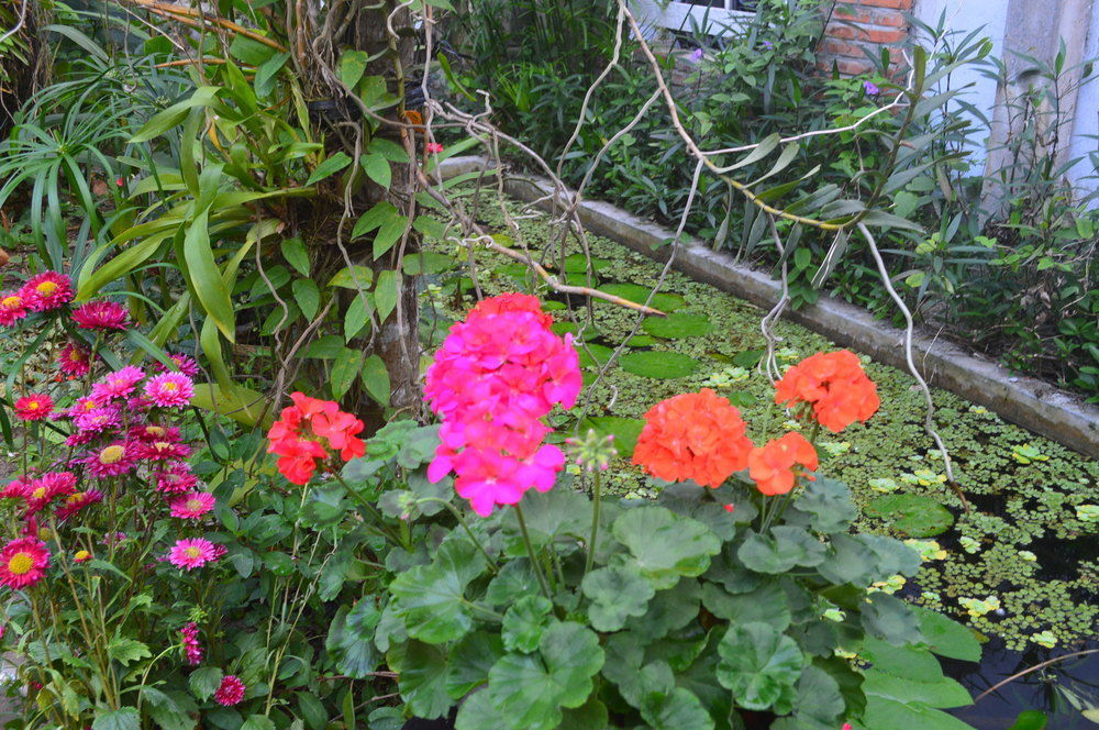 The Hoi An Orchid Garden Villas Exteriör bild