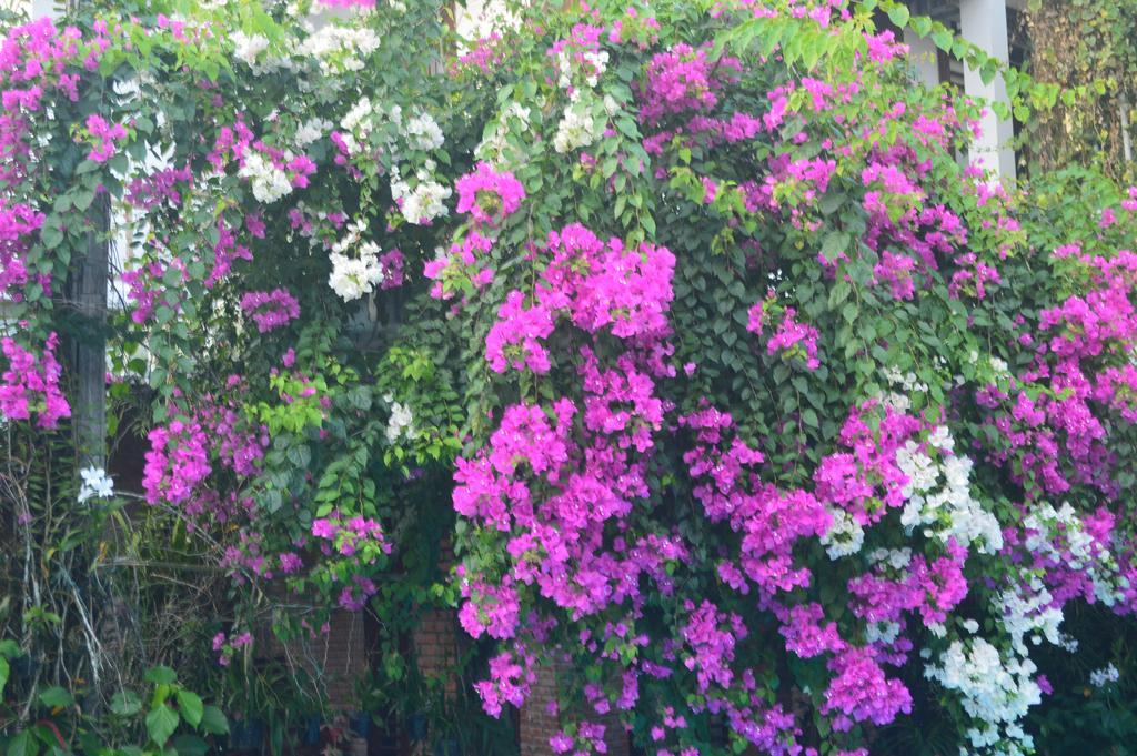 The Hoi An Orchid Garden Villas Exteriör bild